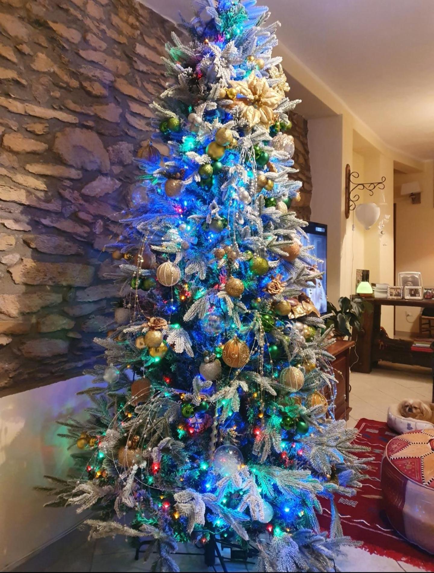 Su Carreri Bed & Breakfast Armungia Dış mekan fotoğraf