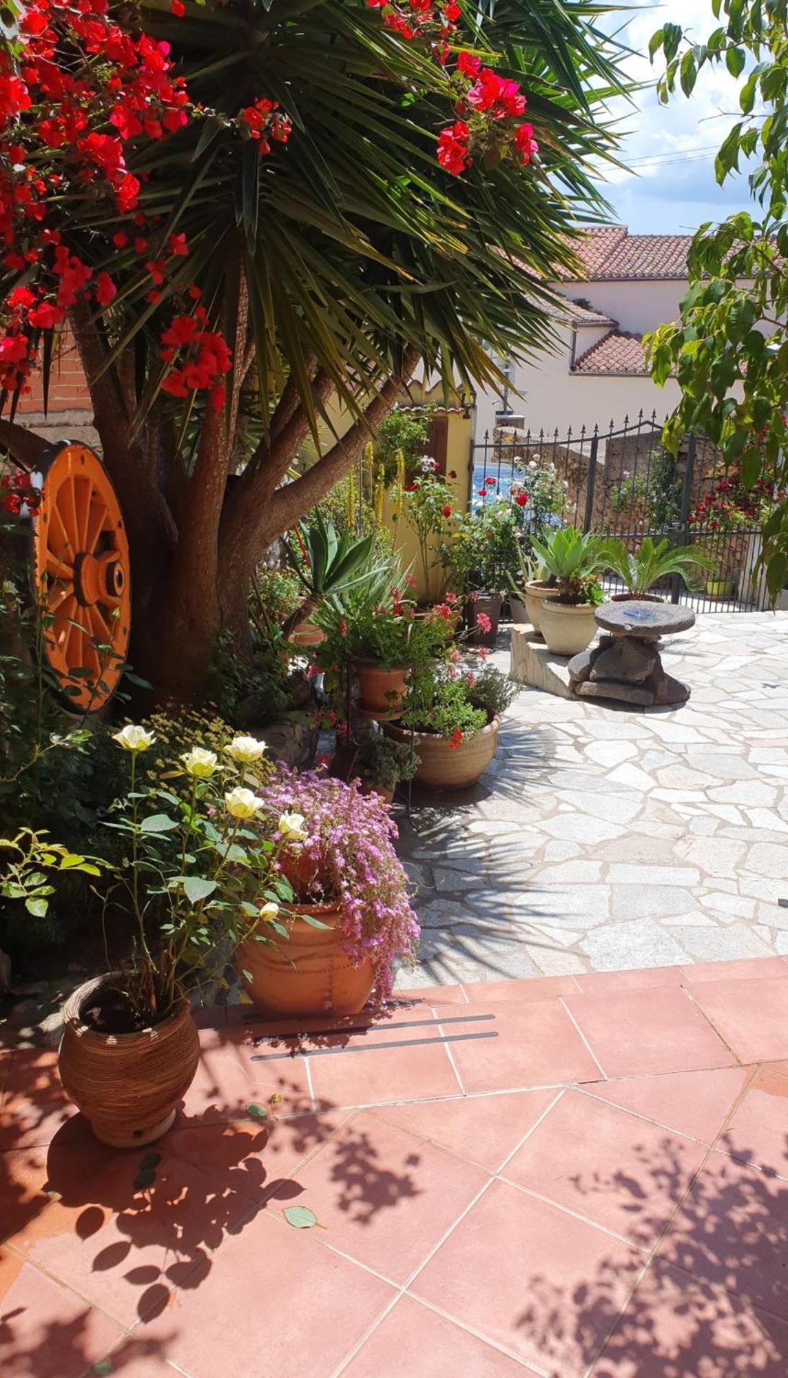 Su Carreri Bed & Breakfast Armungia Dış mekan fotoğraf